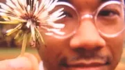 Toro Y Moi