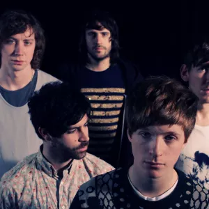 Foals