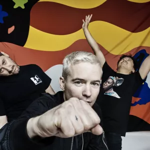 The Avalanches