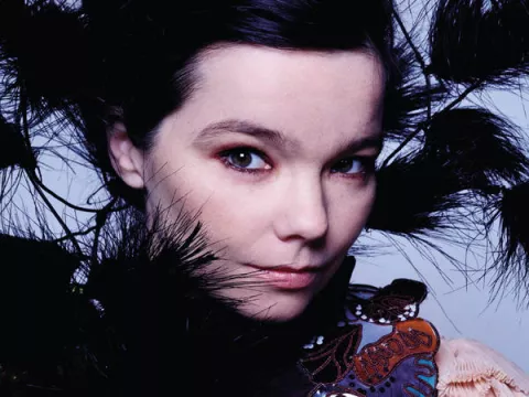 Björk | MuzPlay